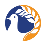 لیگ برتر قبرس