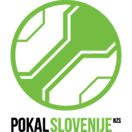 جام حذفی اسلوونی