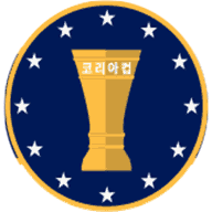 جام حذفی کره جنوبی