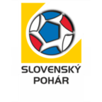 جام حذفی اسلواکی